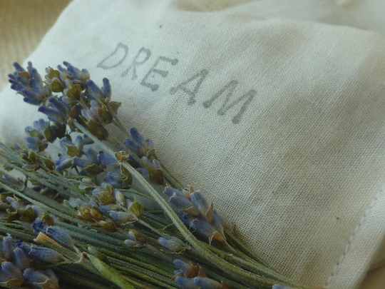 Two Herbal Dream Pillows... Pillow Scent Or Linen Scent... An Herb Appeal Favorite