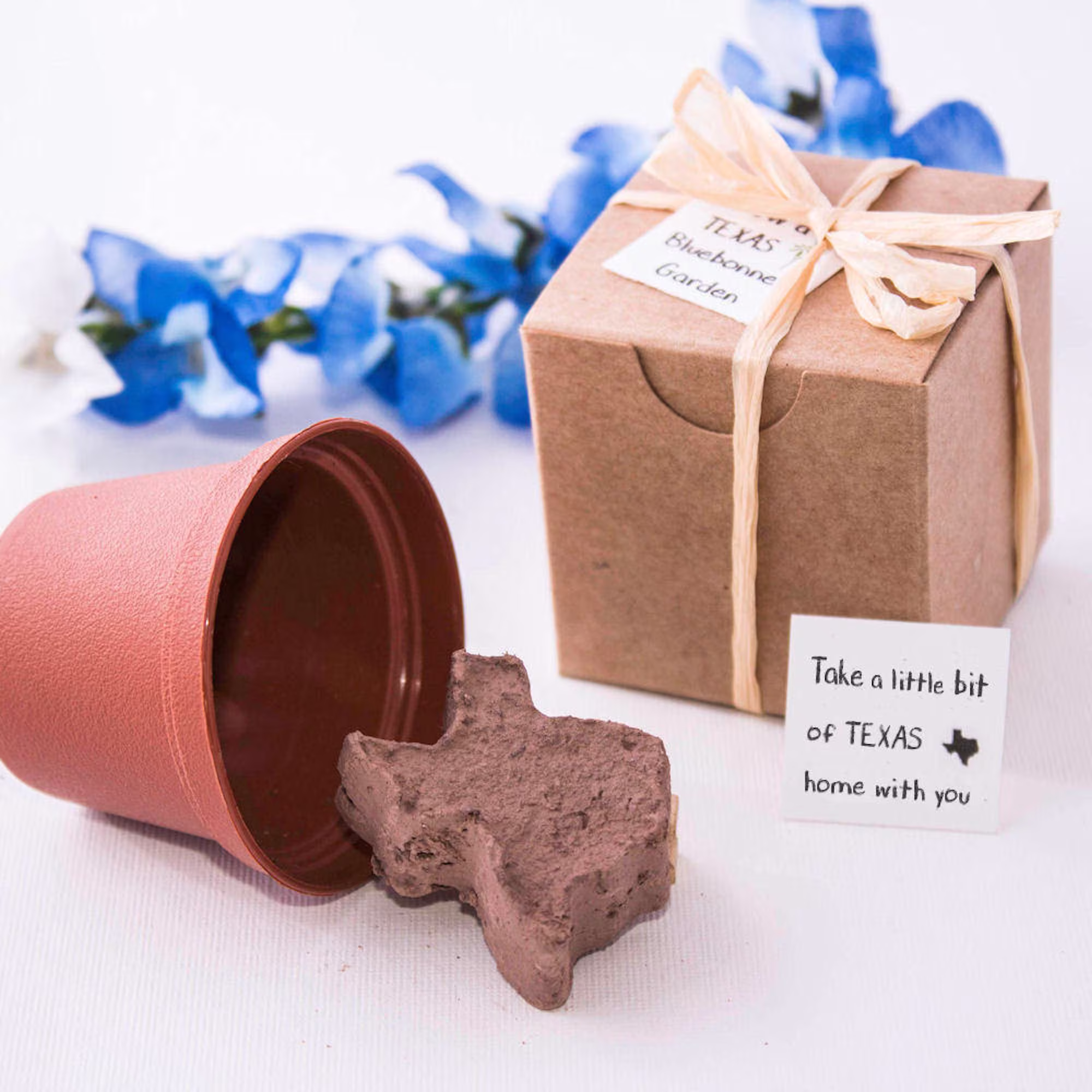 Texas Bluebonnet Seed Gifts | Personalized Grow Kit & Party Favors For Themed Events Plant Gift