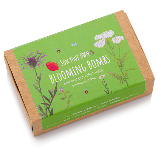 Wildflower Seedball For Bees And Butterflies 2x Boxes