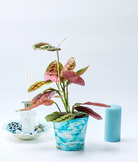 Ceramic Plant Pot, Succulent Planter, Hand Painted, Unique Home Décor, House Pot