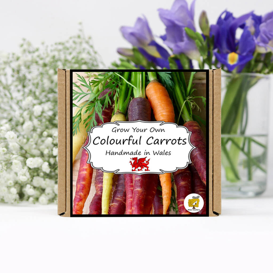 Grow Your Own Vegetables Kit / Rainbow Carrots