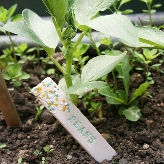 Floral Herb And Vegetable Markers