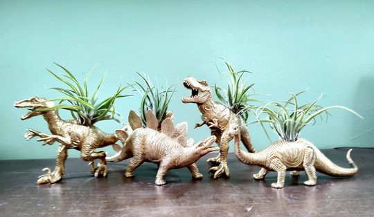 Dino Planters/Dinosaur/Dino Planters/Dinosaur/Office Decor/Gift/Unique Planters/Upcycled Planters/Gold/Dinosaur/Dad/Wedding/Dino