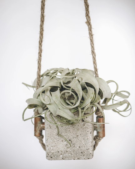 Large Light Grey Hanging Concrete Air Plant Display