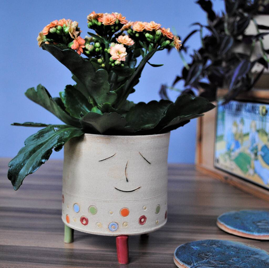 Personalised Happy Colours Smiley Face Planter