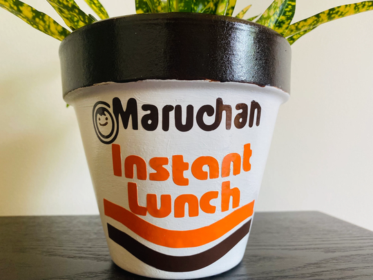 Maruchan Instant Lunch Ramen Noodle Plant Pot - 6 Inch
