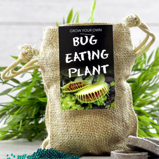 Bug Eating Plant Jute Bag Grow Set