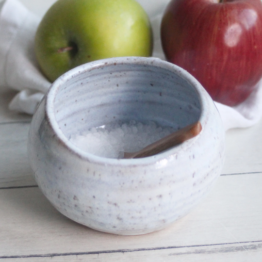 Rustic Salt Cellar in Icy White Glaze, Ceramic Pig, Speckled Stoneware, Handcrafted Pottery Made Usa