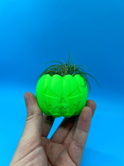 Pumpkin Succulent Planter | Office Decor Home Modern 3D Printed With Drainage Indoor