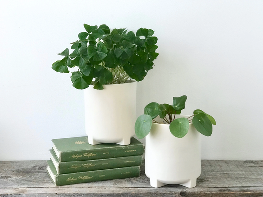 Modern Footed Cylinder Planter, Medium Porcelain Ceramic White Desk Planter