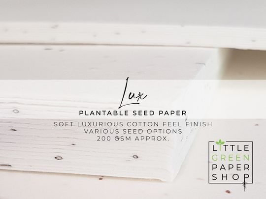 A3 200Gsm Plantable Seed Paper Lux - Flowers Eco-Friendly Biodegradable Sustainable