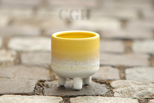 Sass & Belle Mojave Glaze Yellow Planter Plant Pot Cactus Bohemian Home