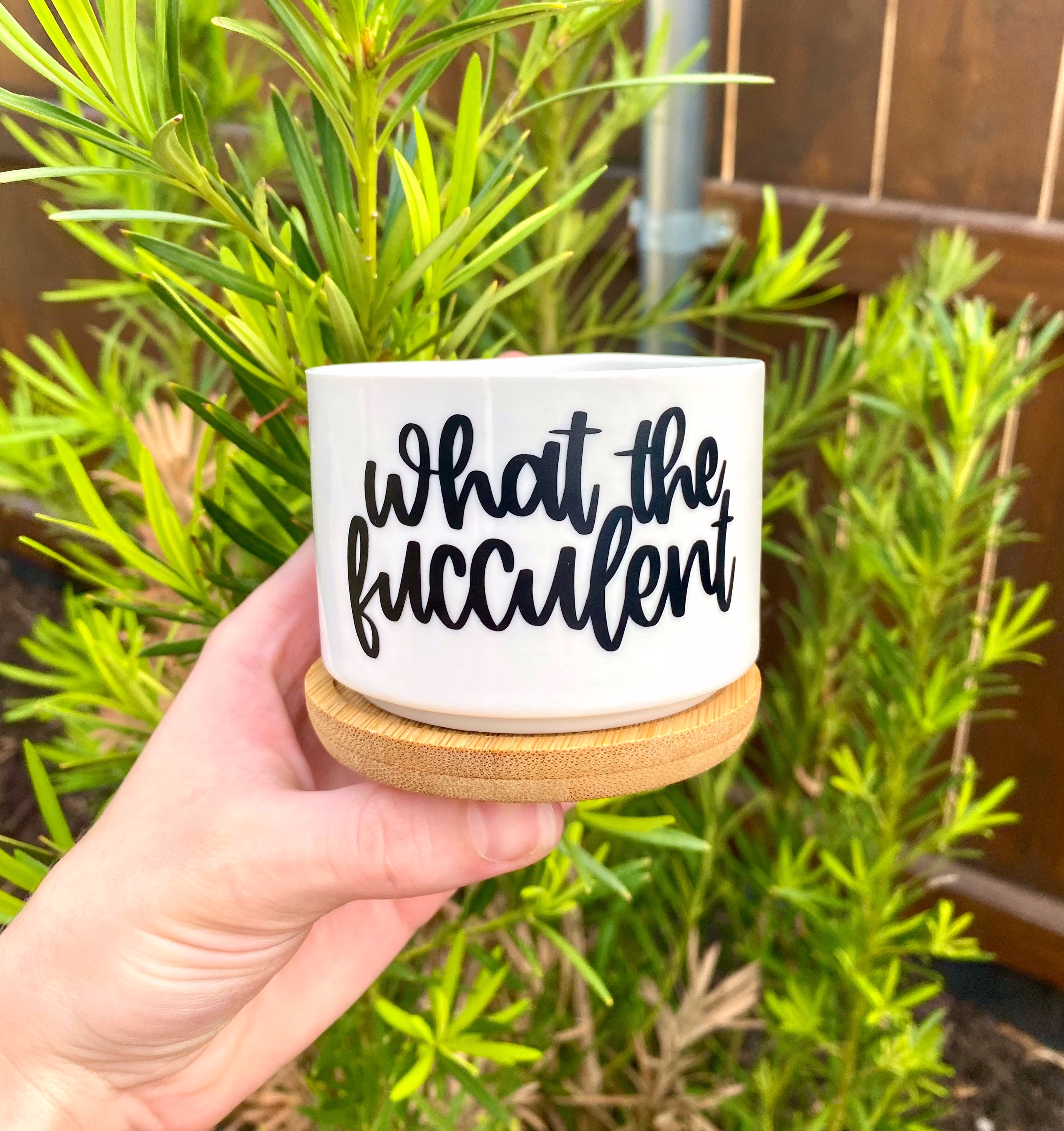 What The Fucculent Succulent Planter | Flower Pot Plant Lady Funny Planters Plants Cactus Gifts For Her Him Succs