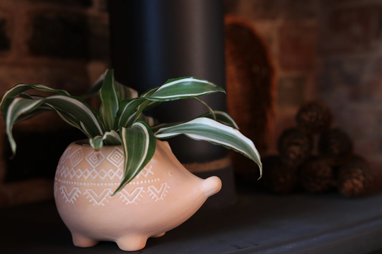 Sass & Belle Terracotta Hedgehog Planter