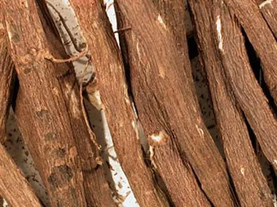 Liquorice Root - Whole, Course Cut Or Powdered Glycyrrhiza Glabra