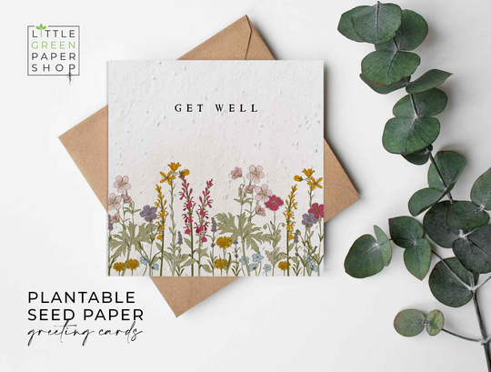Plantable Flower Seed Paper Cards - Get Well -Greeting, Gardening, Gift, Congratulations, Friends, Family, Eco-Friendly, Biodegradable