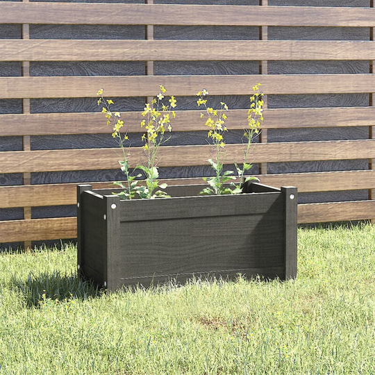 Asupermall - Garden Planter Grey 60x31x31 cm Solid Pinewood