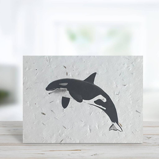 Killer Whale Plantable Seeded Greeting Card