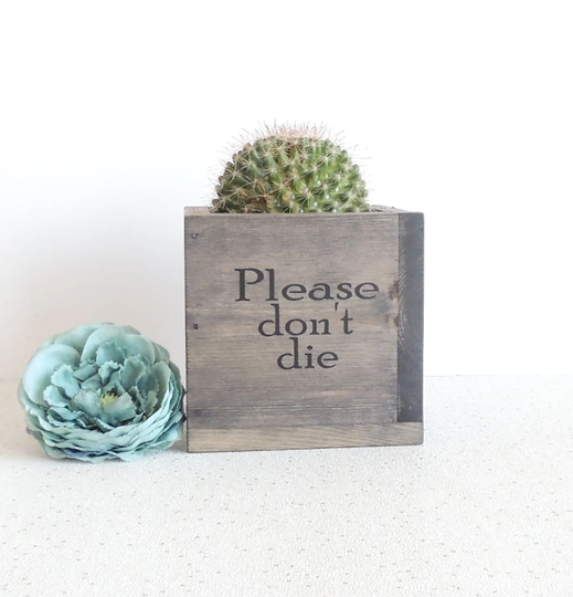 Succulent Planter, Wooden Plant Pot, Dorm Decor, Fun Gift, New Home Present, Rustic Please Don't Die, Indoor Gardening, Kitchen Pot