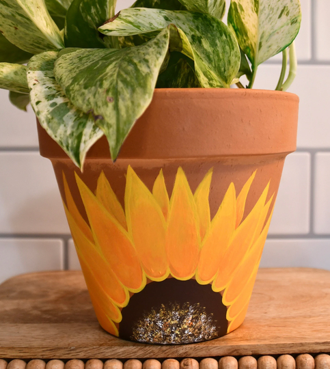 Sunflower, Flowers, Sunflower Seeds, Summer, Bees, Terracotta Pot, Sunflowerlover , Housewarming, Gift Ideas, Gift, Summer Time