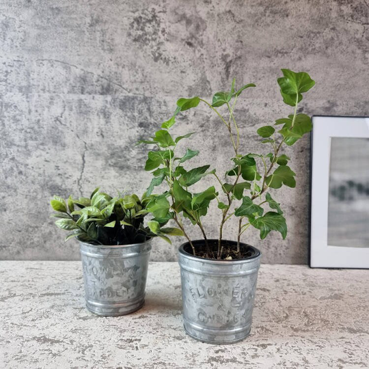 Set Of 2 Mini Galvanised Metal Pot Planters. Embossed Design - Herb Pots