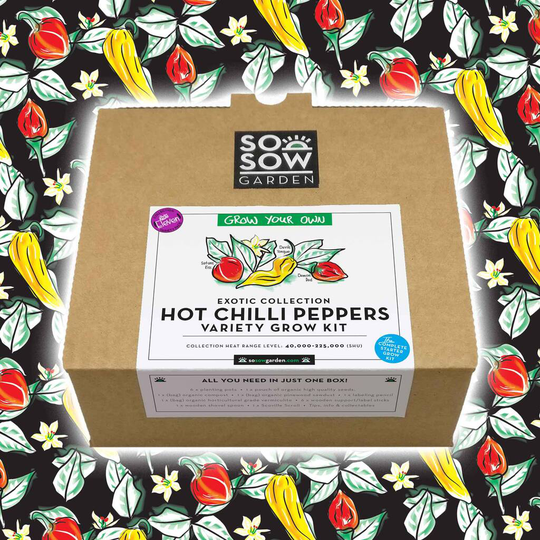 Chilli Pepper Variety Grow Your Own Kit Volume Eleven