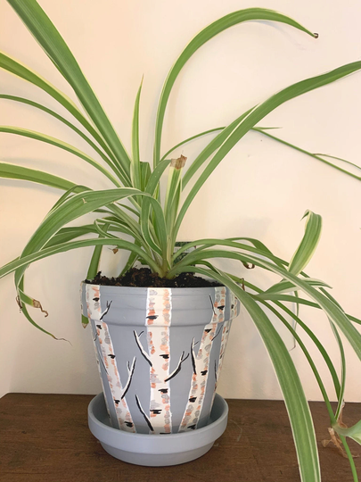 Planter/With Drainage Indoor Planter Plant Pot Flower Pots Indoor