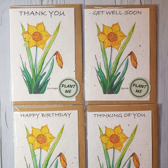 Daffodil Plantable Seeded Card Zero Waste Eco Friendly Tree Free Wild Flower Seeds Get Well Soon, Happy Birthday, Thankyou, Thinking Of You