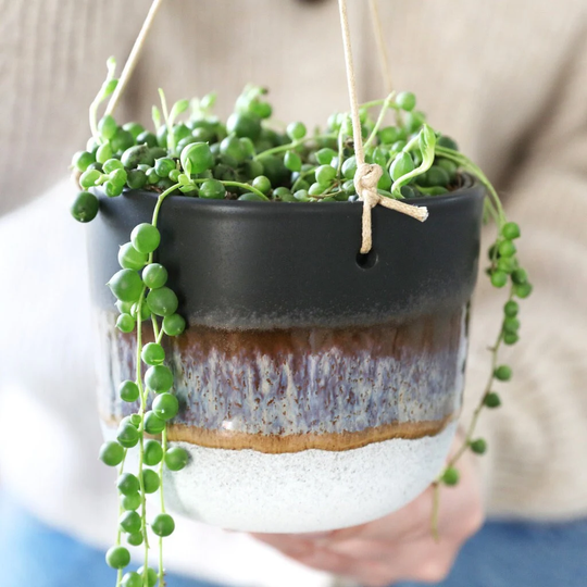 Sass & Belle Mojave Glaze Hanging Planter, H10cm - Grey Black