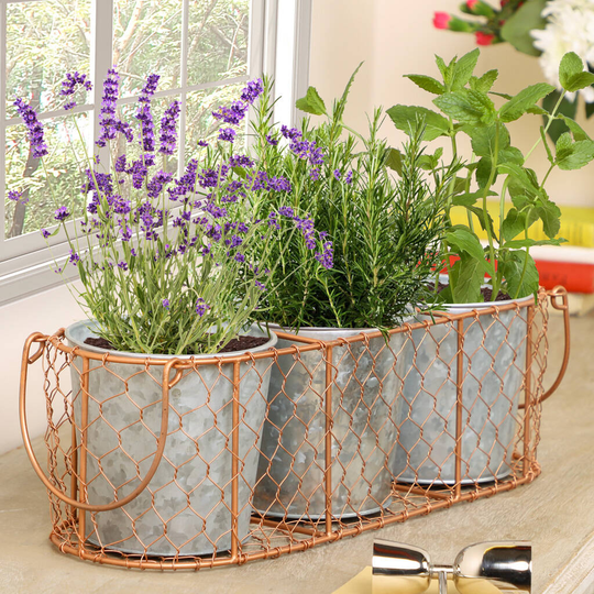Set Of Three Vintage Indoor Herb Planters