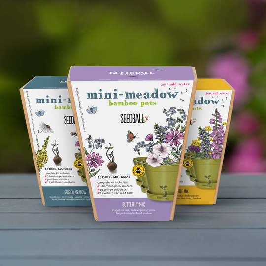Wildflower Meadow Bamboo Pots