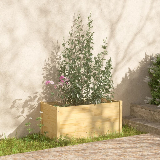 Asupermall - Garden Planter 100x50x50 cm Solid Pinewood