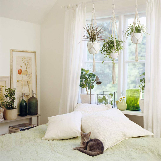Pack Of Three Macrame Plant Hangers Indoor Planters
