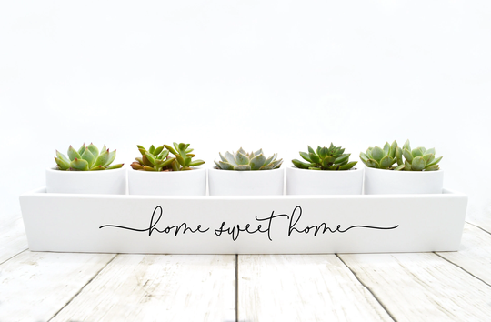Home Sweet Plant Pot | New Gift Housewarming Indoor Succulent Planter Set Plants Not Included | Matte White