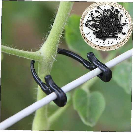 100pcs Garden Plant Vines Tied Buckle Fixed Lashing Hook Agricultural Greenhouse Vegetable Gadget