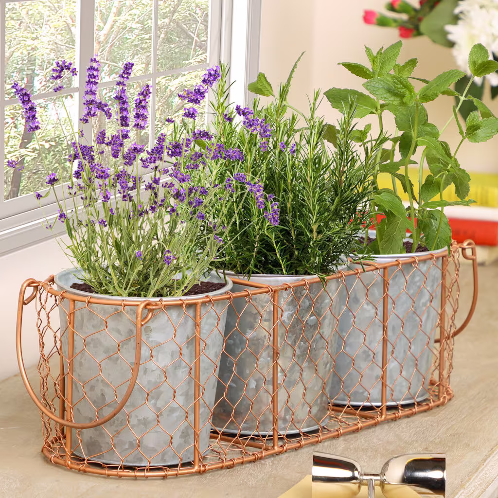 Set Of 3 Kitchen Windowsill Herb Planters in Industrial Style Basket Home Grown Gift Present Idea