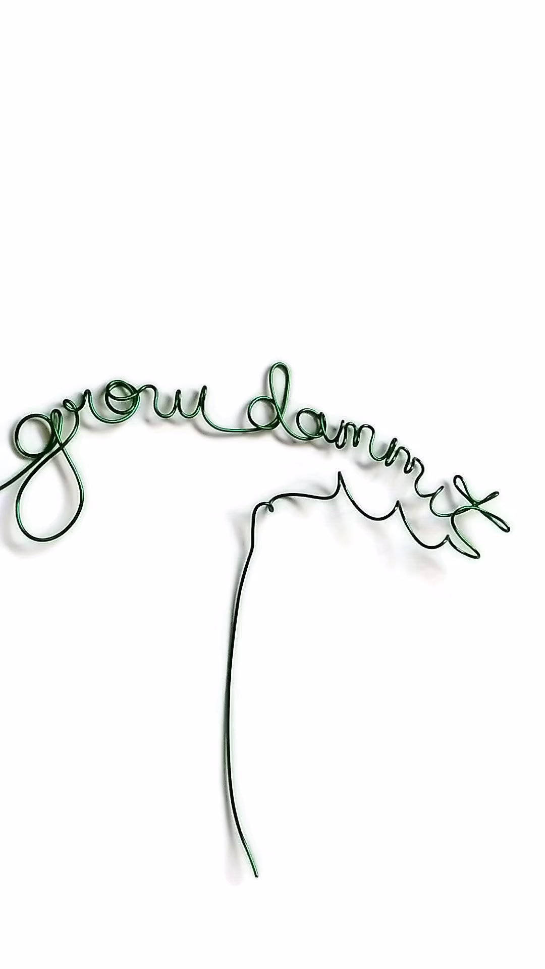 Funny Garden Decor Grow Dammit Wire Stake Plant Art