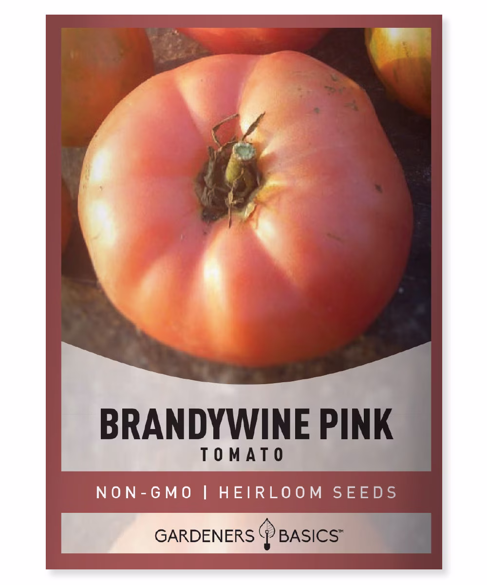 Brandywine Pink Tomato Seeds For Planting - Heirloom, Non-Gmo Home Vegetable Gardening