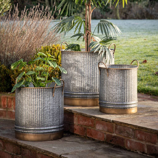 Sylvie Galvanised Planters