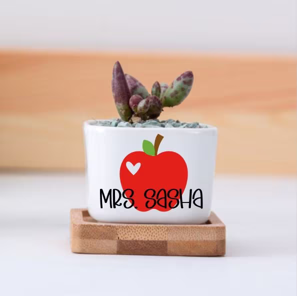Teacher Gifts, Succulent Pots, Gift For Teacher, Idea Gift, Appreciation