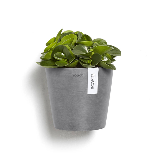 Ecopots Amsterdam Wall Pot Made From Recycled Plastic