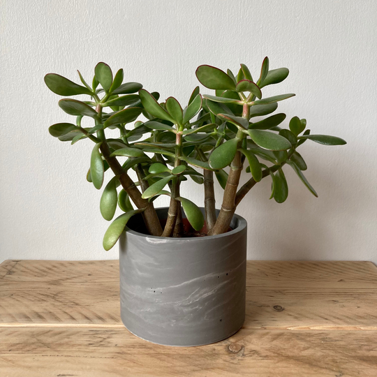 Dark Grey Marbled Large Plant Pot