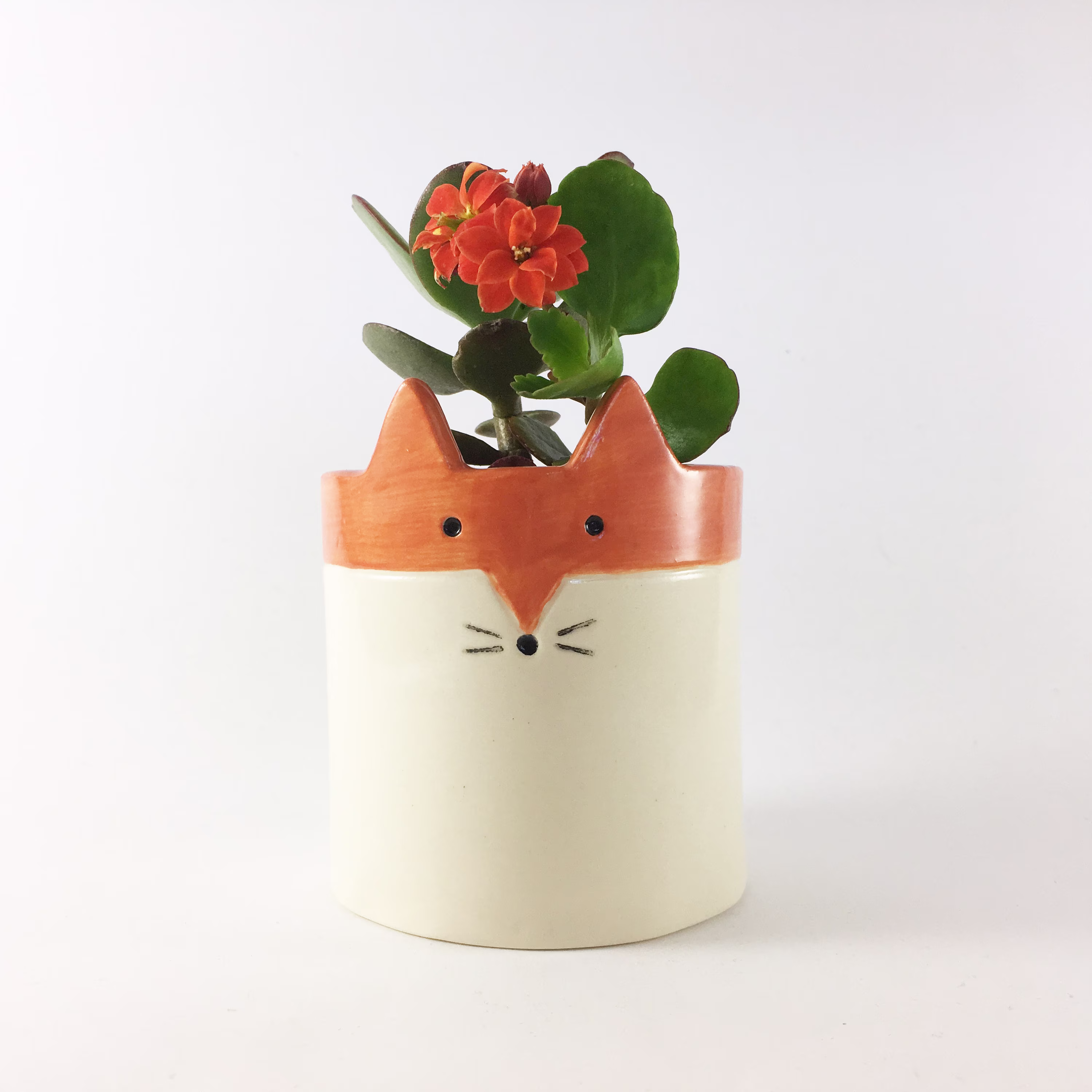 Ceramic Planter With Saucer, Fox Succulent Or Cacti Pot, Spring