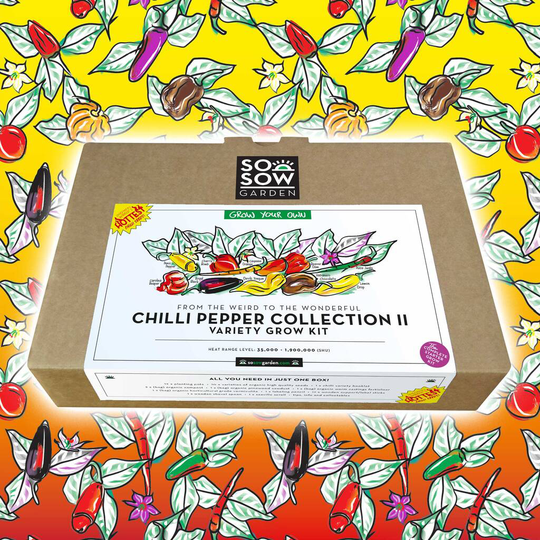 Chilli Pepper Collection Two Grow Your Own Kit