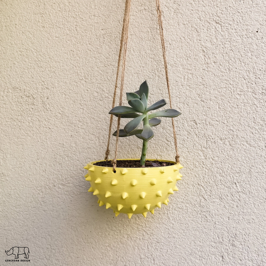 Spiky Hanging Planter | Spiked Pot Cactus Different Colors Options