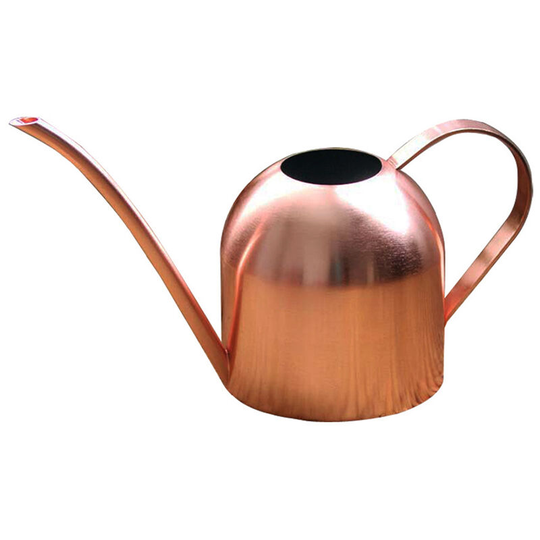 Rose Gold Small Watering Can kettle Helps You Water Tiny House Plants, Succulents, Bonsai or Herb Gardens - Steel Plant Waterer