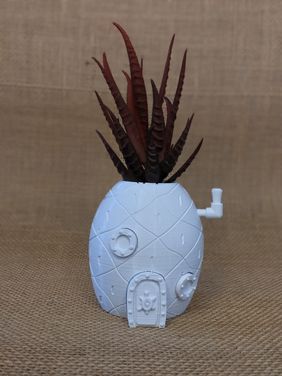 Diy Pineapple House