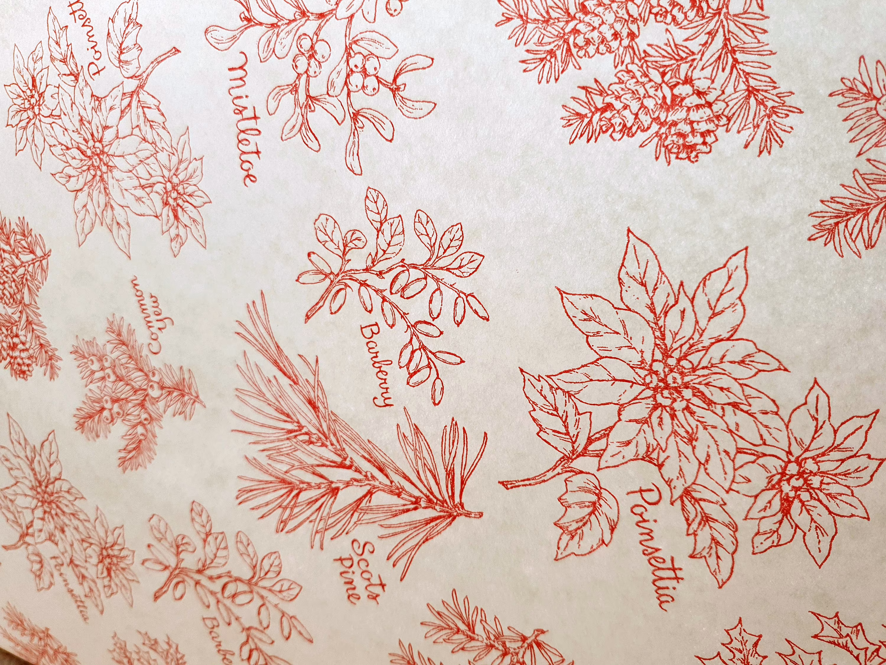 Winter Themed Tissue Paper Sheets X5 - Ideal Seasonal Christmas New 2021 Design