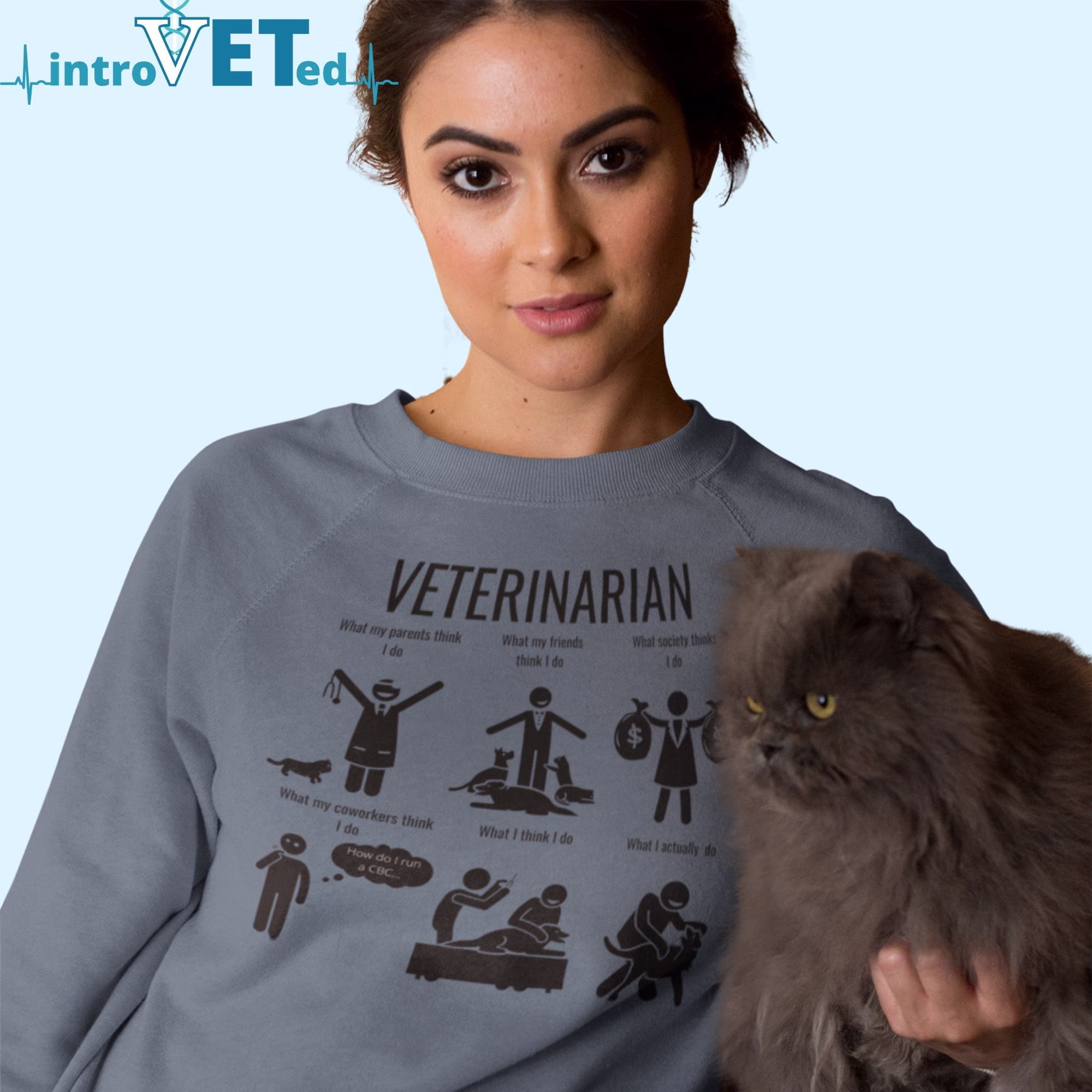 Veterinarian Unisex Sweatshirt, Funny Veterinarian, Veterinary Meme, Gift For Gift, Dvm Sweatshirt