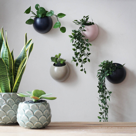 Indoor 'Globe' Wall Planters